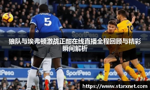 狼队与埃弗顿激战正酣在线直播全程回顾与精彩瞬间解析